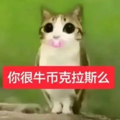 鸟喵